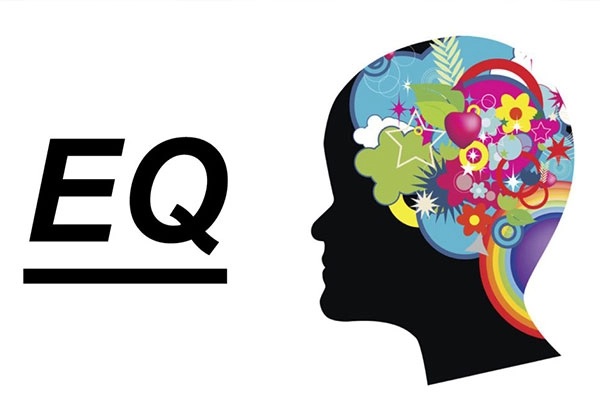 هوش هیجانی چیست